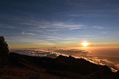 TGA 2022：《博德之门3》正式版2023年8月发售 典藏版预购开启